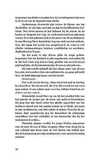 Fantastisch Vlaanderen 9789463675994 Patrick Bernauw, Verzenden, Zo goed als nieuw, Patrick Bernauw