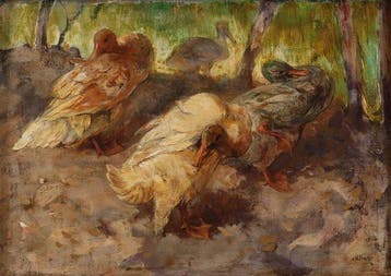 Willem Hendrik van der Nat (1864–1929) - Eenden