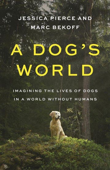 A Dogs World - Jessica Pierce 9780691196183, Verzenden, Zo goed als nieuw, Jessica Pierce