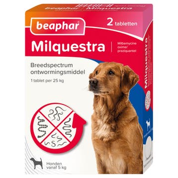 Beaphar Milquestra ontwormingsmiddel hond 4 tabletten (Ko..., Verzenden