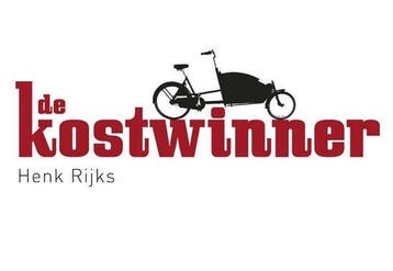 Boek Dwarsligger 39 - De kostwinner 9789049800314, Boeken, Verzenden, Zo goed als nieuw