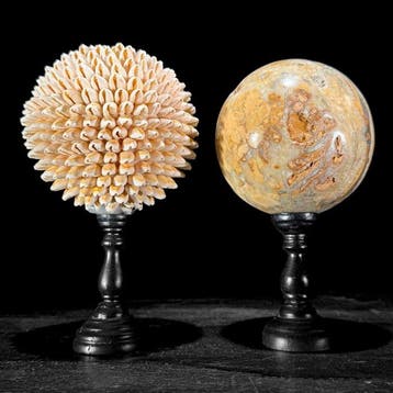 Decoratief ornament - NO RESERVE PRICE - Wonderful Pair of