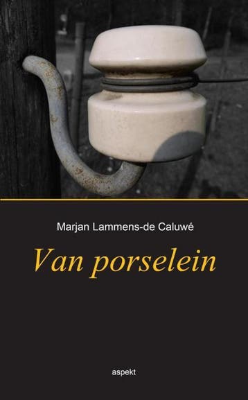 Van porselein - Marjan Lammens-de Caluwé 9789461535757, Verzenden, Zo goed als nieuw, Marjan Lammens-de Caluwé