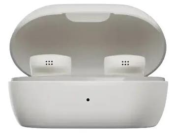 Bose QuietComfort Earbuds - Oordopjes, Verzenden, Refurbished