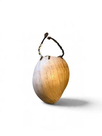 Bailer shell, pectoral ornament Highland region Papua New