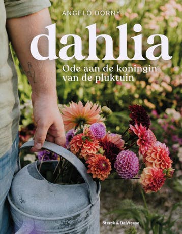 Dahlia - Angelo Dorny 9789464711899, Verzenden, Gelezen, Angelo Dorny