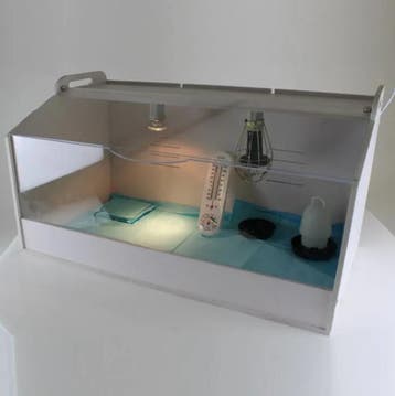 Kuikenhok voor 20 kuikens - brooder - kunstmoeder  - Metbogi, Verzenden, Nieuw, Kippenhok of Kippenren