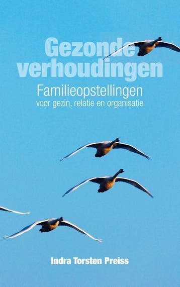 Gezonde verhoudingen - Indra Torsten Preiss 9789400504516, Verzenden, Gelezen, Indra Torsten Preiss