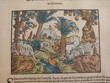 Sebastian Münster (1489–1552) - Cosmographie Universelle -