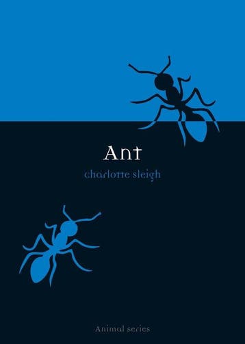 Ant - Sleigh, Verzenden, Gelezen