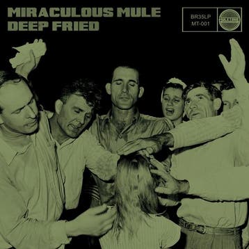lp nieuw - miraculous mule - Deep Fried (nieuw), Verzenden, Zo goed als nieuw, Overige formaten