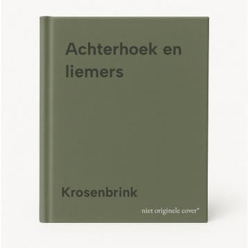 Achterhoek en liemers - Krosenbrink 9789021003429, Verzenden, Gelezen, Krosenbrink