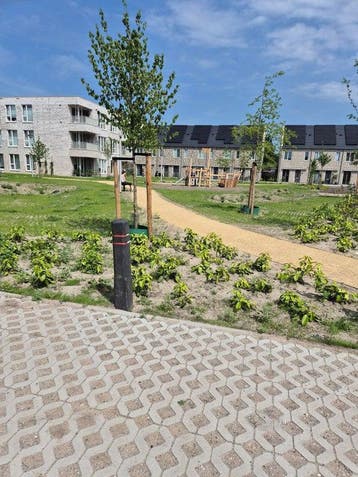 Te huur: Appartement Trompstraat in Barendrecht, Barendrecht, Appartement, Zuid-Holland