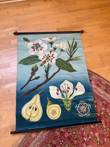 Jung-Koch-Quentell - Schoolkaart - Papier, Linnen, Hout