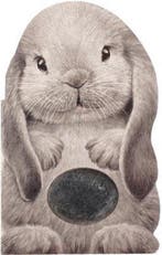 Furry Bunny 9781438050119 Annie Auerbach, Verzenden, Gelezen, Annie Auerbach