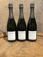 2016 Paul Dethune, Blanc de Noirs Les Crayeres - Champagne, Nieuw