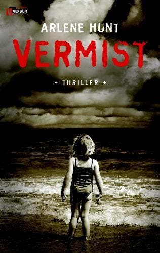 VERMIST - A. Hunt 9789074274159, Verzenden, Gelezen, A. Hunt
