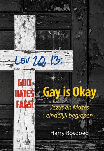 Gay Is Okay | Harry Bosgoed | Nieuw, Ophalen of Verzenden, Nieuw, Harry Bosgoed
