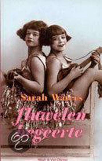 Fluwelen begeerte - Sarah Waters 9789038884172, Verzenden, Gelezen, Sarah Waters