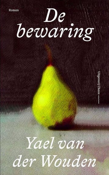 De bewaring 9789493320604 Yael van der Wouden, Verzenden, Zo goed als nieuw, Yael van der Wouden