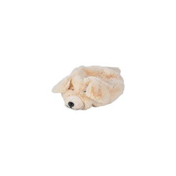 Wheelybug loopauto hoes Hond - zach van €17,95 voor €16,15, Ophalen of Verzenden, Nieuw