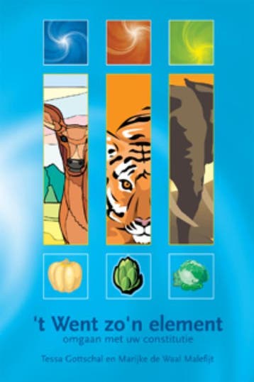t Went zon element - Tessa Gottschal 9789063789121, Boeken, Verzenden, Gelezen, Tessa Gottschal