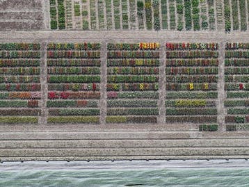 Bernhard Lang - AV_Tulip_Fields_008 XXL, Antiek en Kunst