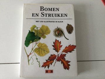 Bomen en struiken - Gerda Leegsma 9789039600108, Verzenden, Gelezen, Gerda Leegsma