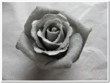 Foamroos Emilia Snow Grey 6 cm doos 42 stuks, Ophalen of Verzenden, Nieuw