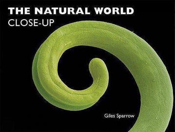 The Natural World Close-Up - Giles Sparrow 9781554079247, Verzenden, Gelezen, Giles Sparrow
