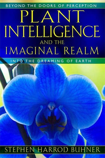 9781591431350 Plant Intelligence  The Imaginal Realm, Verzenden, Nieuw, Stephen Harrod Buhner