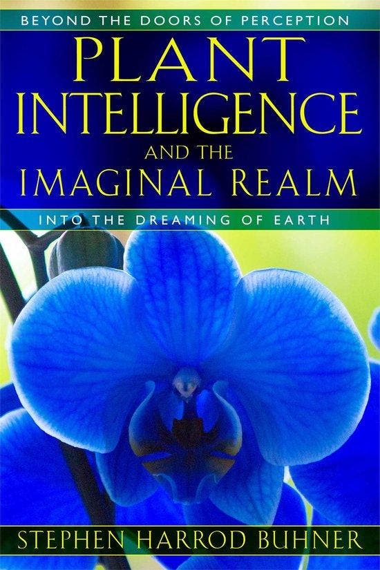 9781591431350 Plant Intelligence  The Imaginal Realm, Boeken, Studieboeken en Cursussen, Nieuw, Verzenden