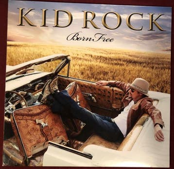 LP gebruikt - Kid Rock - Born Free (US, 2010), Verzenden, Zo goed als nieuw, Overige formaten