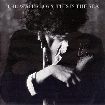 cd - The Waterboys - This Is The Sea, Verzenden, Zo goed als nieuw