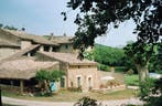 Huis 6 pers. Gard voor natuur, muziek- en dierenliefhebbers, 2 slaapkamers, Landelijk, Languedoc-Roussillon, In bos