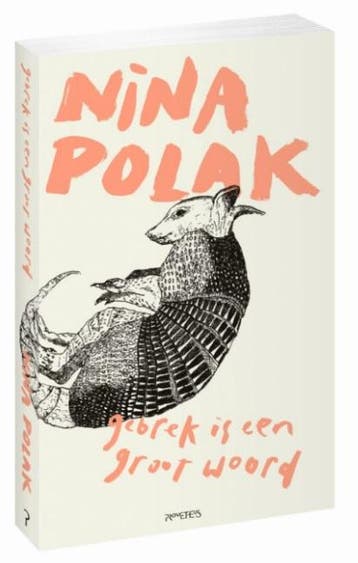 Gebrek is een groot woord - Nina Polak 9789044629866, Verzenden, Gelezen, Nina Polak
