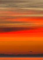 Agathe Toman - Orange Sunset - XL