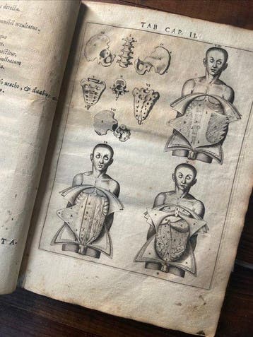 Ioannes Veslingius - Syntagma Anatomicum - 1677