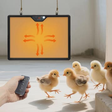Verstelbare Warmteplaat 180W met Rotatie & Verlichting voor, Verzenden, Nieuw