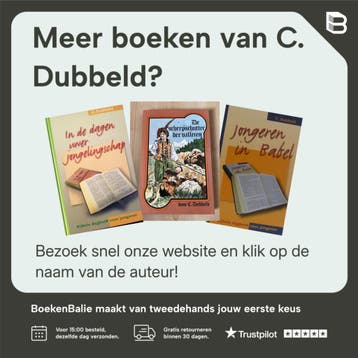Jongeren nu 4 - C. Dubbeld 9789055519828, Verzenden, Zo goed als nieuw, C. Dubbeld
