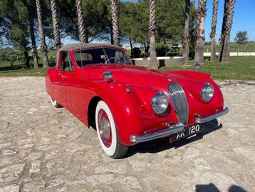 Jaguar - XK120 DHC 3.4 - 1954