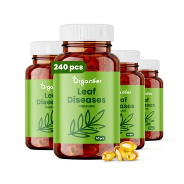 Bladziektecapsules - 240 stuks, Verzenden, Mest