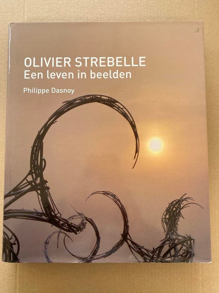 Olivier Strebelle Monumentale Sculpturen -Abstract Dynamisch, Boeken, Kunst en Cultuur | Beeldend, Zo goed als nieuw, Beeldhouwkunst