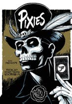 Posters - Poster Pixies - Pixies, Verzamelen, Verzenden, Zo goed als nieuw