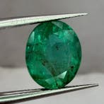 Zonder minimumprijs - 1 pcs Groen Smaragd - 6.12 ct -, Nieuw
