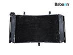 Radiateur Yamaha FZ 8 2011-2015 (FZ8 FAZER), Motoren, Onderdelen | Yamaha, Verzenden, Gebruikt