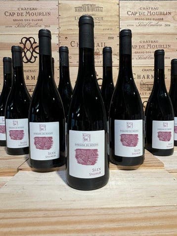 2020 Domaine du Roujou Cuvée Silex - Saumur - 12 Flessen, Nieuw