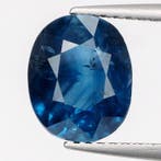 Blauw Saffier - 3.29 ct - Asian Institute of Gemological, Nieuw