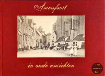 Amersfoort in oude ansichten - Neut 9789028824706, Verzenden, Gelezen, Neut