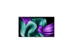 Lg - OLED 60-69  TV -, Verzenden, Nieuw, LG